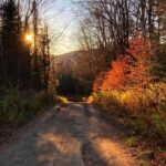 1E160870-B446-4195-AC28-9238F524A149_1_105_c