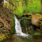 2B07B599-DA2B-4EE7-8F37-00AE9B025C4B_1_105_c