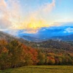 B0ED3D5A-0599-4699-A607-ED9097F56BC4_1_105_c