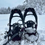 Snowshoes